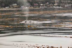 Sitka-AK-USA-25-B5037104