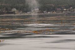 Sitka-AK-USA-27-B5037108
