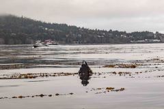Sitka-AK-USA-31-B5037132