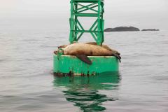 Sitka-AK-USA-4-B5037000