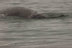 Sitka-AK-USA-40-B5037183