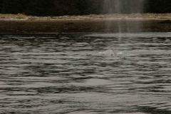 Sitka-AK-USA-46-B5037212
