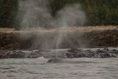 Sitka-AK-USA-48-B5037217