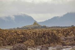 Sitka-AK-USA-51-B5037234