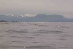 Sitka-AK-USA-6-B5037009