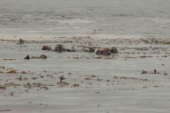 Sitka-AK-USA-60-B5037264
