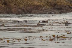 Sitka-AK-USA-63-B5037278
