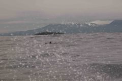 Sitka-AK-USA-8-B5037011