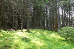 Haugesung-Norway-19-P7056945