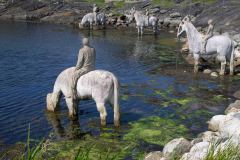 Haugesung-Norway-37-P7066975