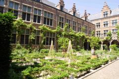 Antwerp-Belgium-19-P7117158
