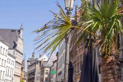 Antwerp-Belgium-51-P7117222