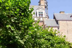 Bruges-Belgium-20-P7147332