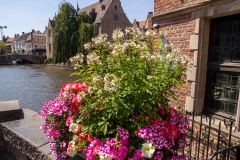 Bruges-Belgium-27-P7147347