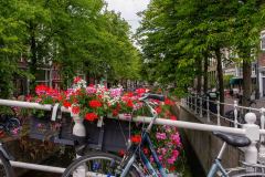 Delft-Netherlands-31-P7207653