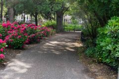 The-Hague-Netherlands-22-P7227715