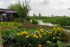 Kinderdijk-Netherlands-27-P7247752