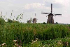 Kinderdijk-Netherlands-36-P7247763