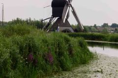 Kinderdijk-Netherlands-45-P7247797