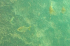 Belize 2013