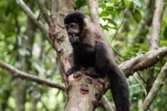 Iguazu Falls Argentina