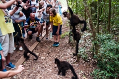 Iguazu Falls Argentina