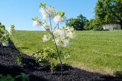 Jim Beam, Kentucky, May 2013