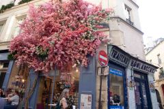 Paris-2022-Misc-78-B8308417