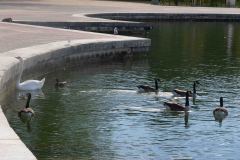 Palace-of-Versailles-38-B8247434