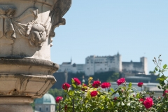 Salzburg, AT 2017