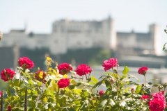 Salzburg, AT 2017