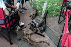 Iguazu Falls Argentina