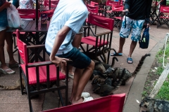 Iguazu Falls Argentina