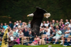 2015 Warwick Castle England