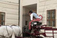 Hobrunn Palace, Vienna Austria, June 2017