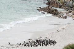 2015 Stanley Falkland Islands