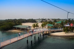 Roaton Honduras 2013