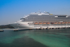 Roaton Honduras 2013