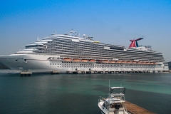 Roaton Honduras 2013